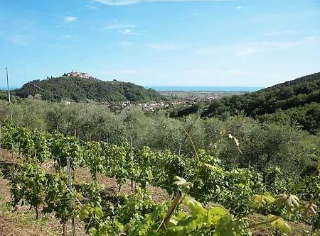 La Sarticola Villa Luni Dış mekan fotoğraf